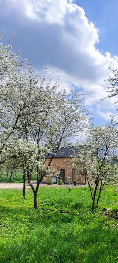Gorskie Progi Goworow Exterior photo